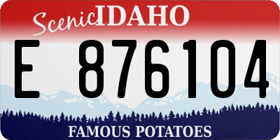 ID license plate E876104