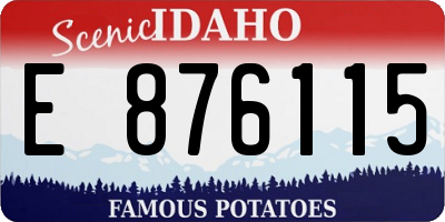 ID license plate E876115