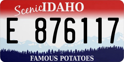 ID license plate E876117