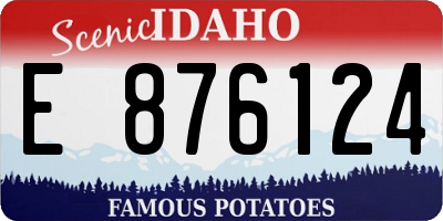 ID license plate E876124