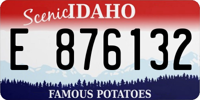 ID license plate E876132