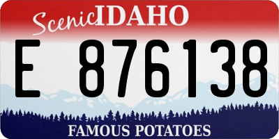 ID license plate E876138