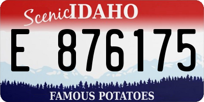 ID license plate E876175