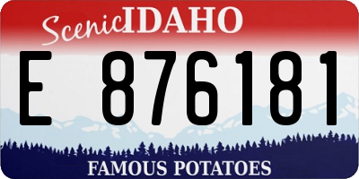 ID license plate E876181