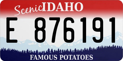 ID license plate E876191
