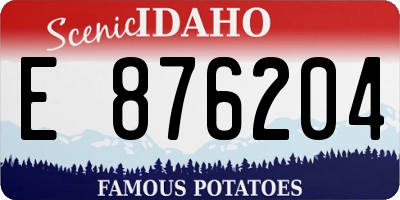 ID license plate E876204