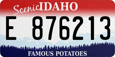 ID license plate E876213