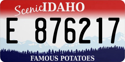 ID license plate E876217