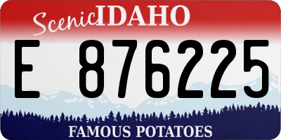 ID license plate E876225