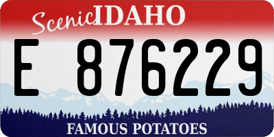 ID license plate E876229