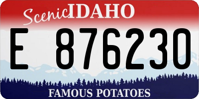 ID license plate E876230