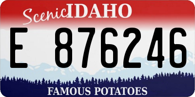 ID license plate E876246