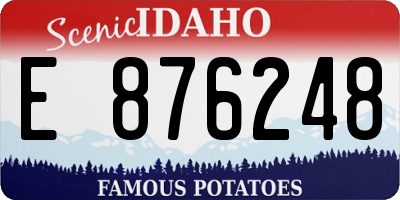 ID license plate E876248