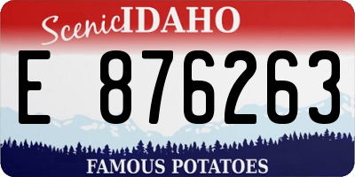 ID license plate E876263