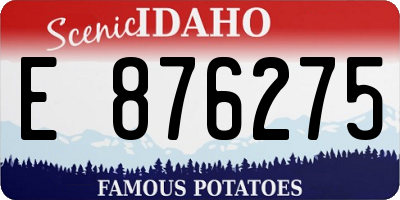 ID license plate E876275