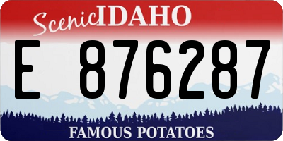 ID license plate E876287