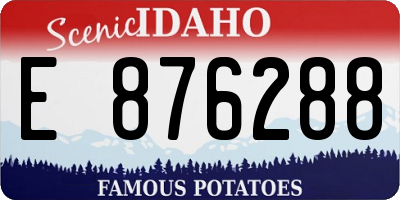 ID license plate E876288