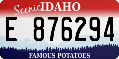 ID license plate E876294