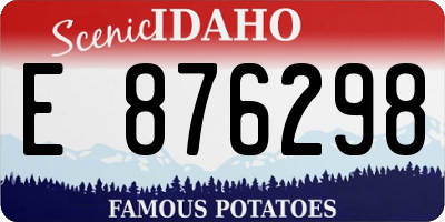ID license plate E876298
