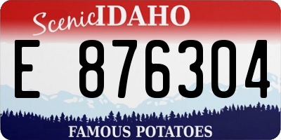 ID license plate E876304
