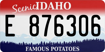 ID license plate E876306