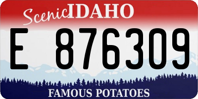 ID license plate E876309