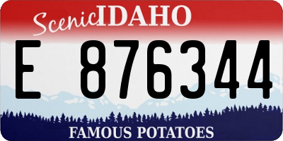 ID license plate E876344