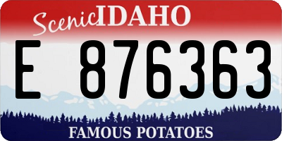 ID license plate E876363