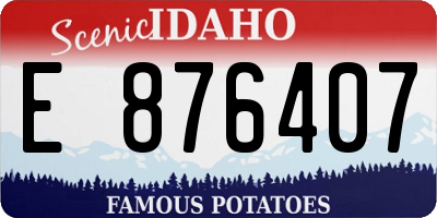 ID license plate E876407