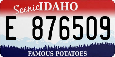 ID license plate E876509
