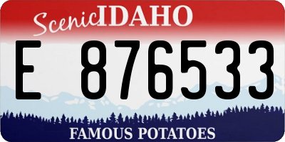 ID license plate E876533