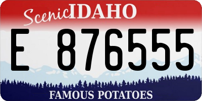 ID license plate E876555