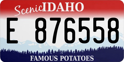ID license plate E876558