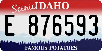 ID license plate E876593
