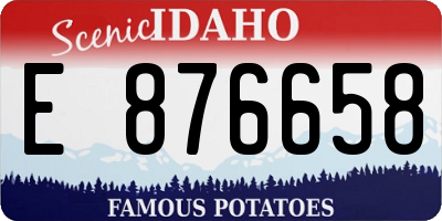 ID license plate E876658