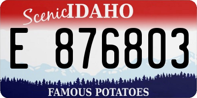 ID license plate E876803