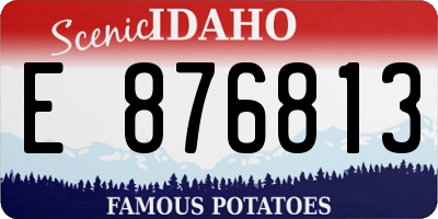 ID license plate E876813
