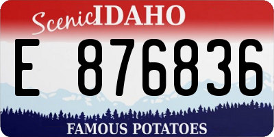 ID license plate E876836