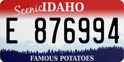 ID license plate E876994