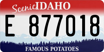 ID license plate E877018