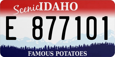 ID license plate E877101