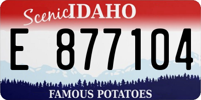 ID license plate E877104