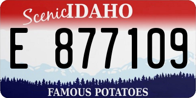 ID license plate E877109