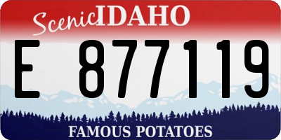 ID license plate E877119