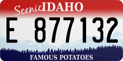 ID license plate E877132