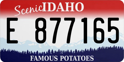 ID license plate E877165