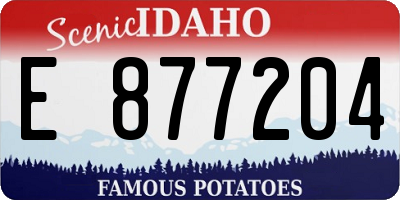 ID license plate E877204