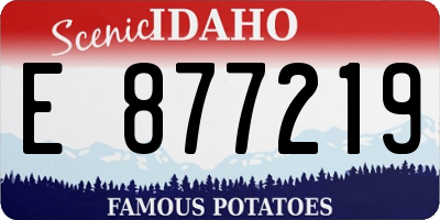 ID license plate E877219