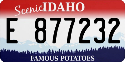 ID license plate E877232