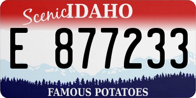 ID license plate E877233